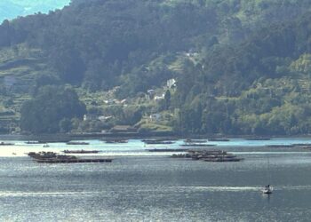 Remansos en la Ría de Vigo