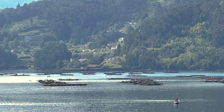 Remansos en la Ría de Vigo