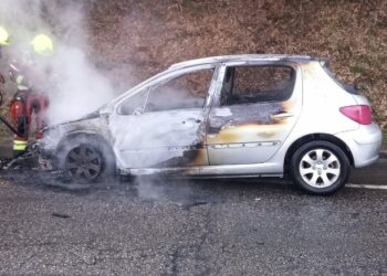 Completamente calcinado un vehículo en el vial de la Universidade