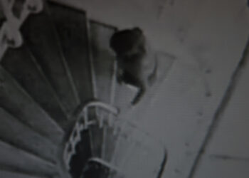 Ampliada hasta el 24 de mayo la exposición «A chambra. O cuarto do lado», de Joan Morera