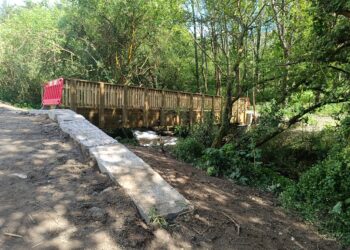 Adega denuncia obras en el paseo del Lagares en plena época de cría de aves