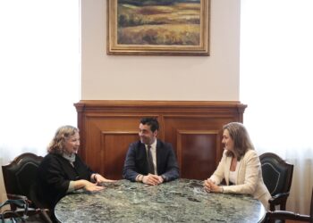Encontro entre a Deputación e a consulesa de Arxentina en Vigo