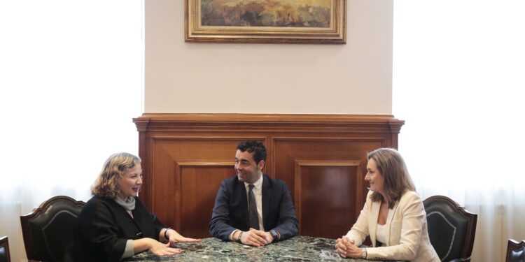 Encontro entre a Deputación e a consulesa de Arxentina en Vigo
