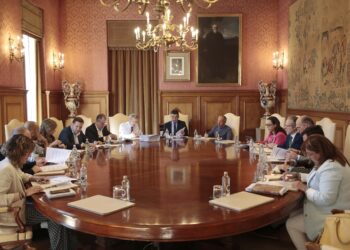 El presidente de la Diputación de Pontevedra, Luis López