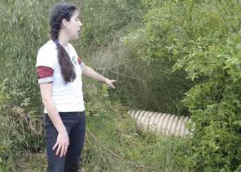 Nueva denuncia contra Afouteza: los ecologistas detectan vertidos fecales sobre manantiales de Mos