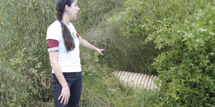 Nueva denuncia contra Afouteza: los ecologistas detectan vertidos fecales sobre manantiales de Mos