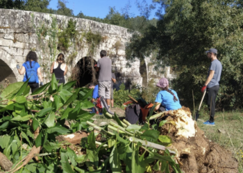 Campo de voluntariado para actuar no río Tea
