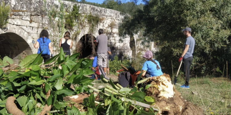Campo de voluntariado para actuar no río Tea