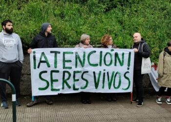 Un grupo de vecinos se concentra en Cachamuíña para evitar más talas
