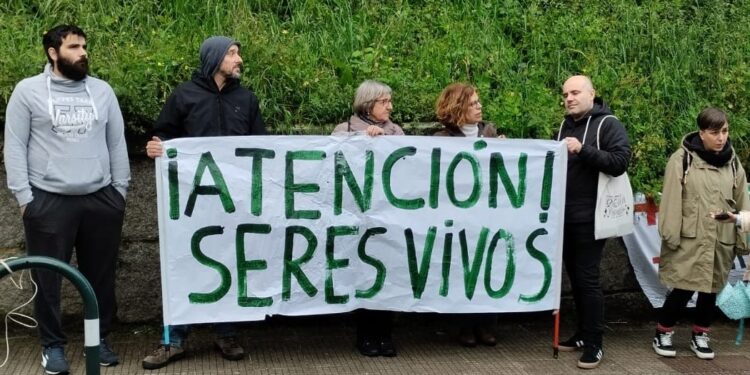 Un grupo de vecinos se concentra en Cachamuíña para evitar más talas