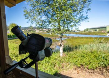 Nace el Observatorio de la Xunqueira de Ramallosa
