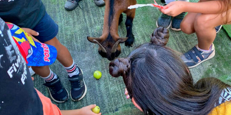 O Rosal abre o prazo para inscribirse no campamento de verán municipal