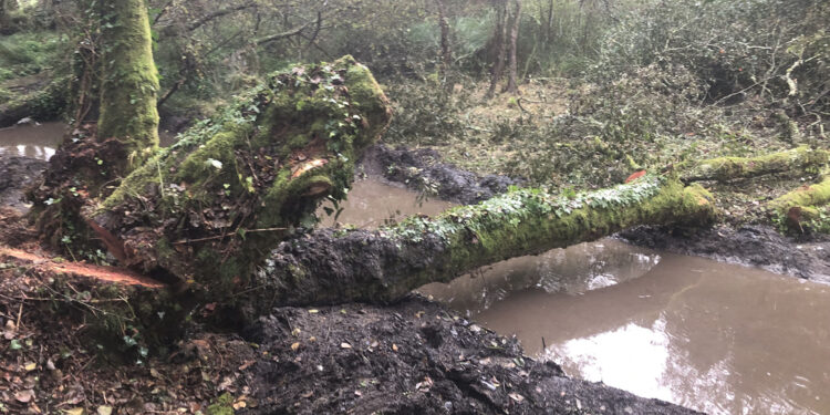 Nuevo revés para los comuneros de Cabral: multa de 98.500 euros por las obras en el río Lagares