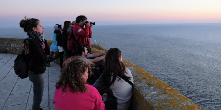 Las islas Cíes: escenario de un campo de voluntariado internacional con más de 100 jóvenes
