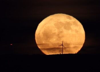Así se observó la espectacular Luna llena de las flores