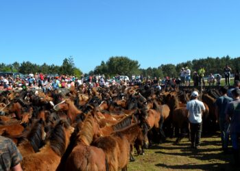 O curro da Valga estrena a tempada en Oia