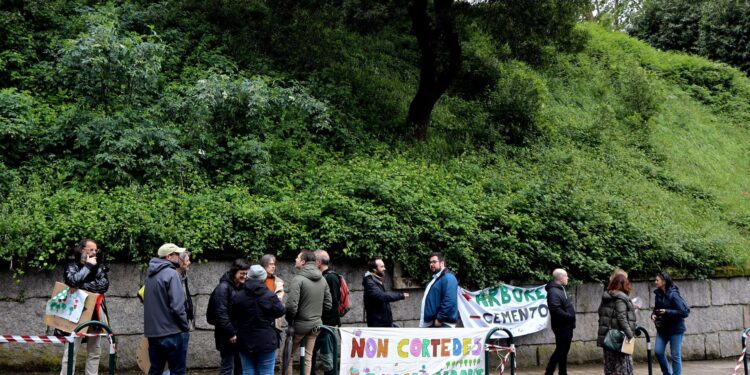 Victoria (por ahora) de los vecinos: el Concello paraliza la tala de A Falperra