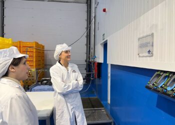 El Grupo Pereira, ejemplo de apuesta por la innovación y la digitalización