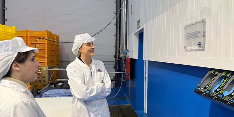 El Grupo Pereira, ejemplo de apuesta por la innovación y la digitalización