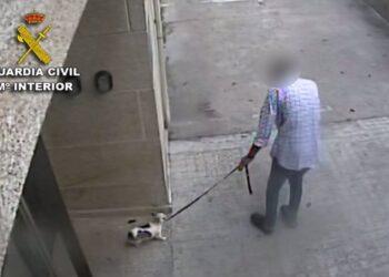 Un año de prisión para un vecino de Baiona por matar a su perra a golpes