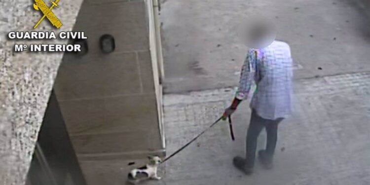 Un año de prisión para un vecino de Baiona por matar a su perra a golpes