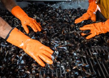 Los productos del mar, la clave para reducir la malnutrición y disminuir el riesgo de enfermedades