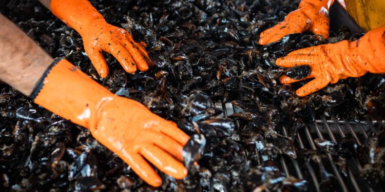 Los productos del mar, la clave para reducir la malnutrición y disminuir el riesgo de enfermedades