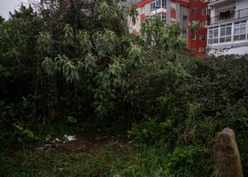 El crimen de la maleta será investigado como violencia de género