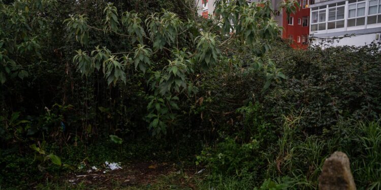 El crimen de la maleta será investigado como violencia de género