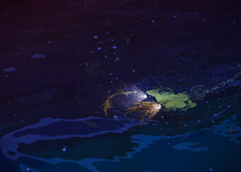 Vigo incorpora un innovador dron submarino para detectar droga