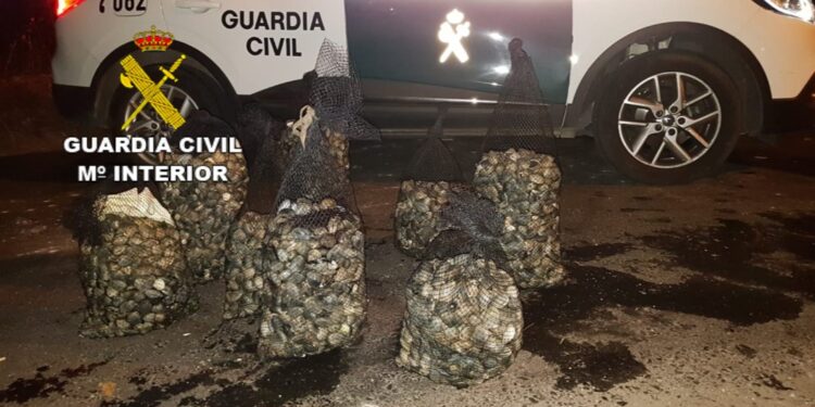 Detenidos tres furtivos ‘habituales’ que amenazaban a los pescadores