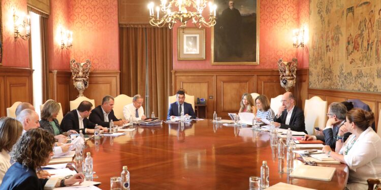 La Diputación se suma a la defensa de la conexión ferroviaria del AVE Vigo-Oporto