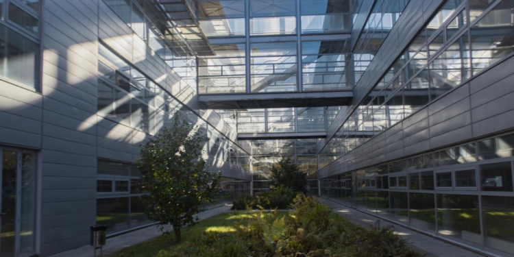 La UVigo se alza con 4 proyectos europeos de cooperación trasnacional