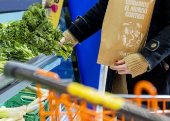 Gadis recicla y reutiliza 10.000 toneladas de residuo al año