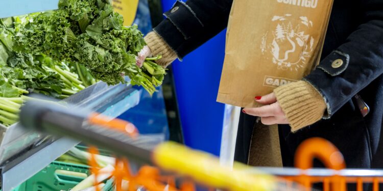 Gadis recicla y reutiliza 10.000 toneladas de residuo al año