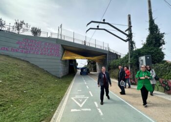 «Vigo cidade de cor» sigue sumando murales a las medianeras: este año habrá 8 más