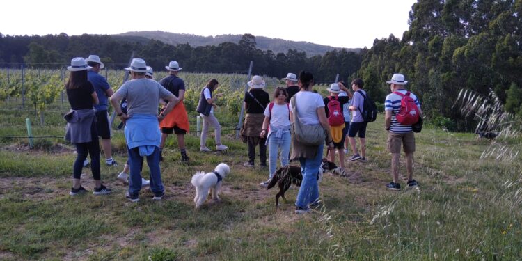 Experiencia de enoturismo ´petfriendly´ para recorrer y conocer una bodega de O Rosal