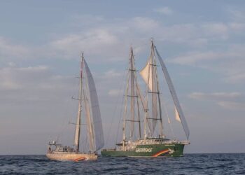 El astillero vigués Freire construirá el nuevo velero ecológico de Greenpeace