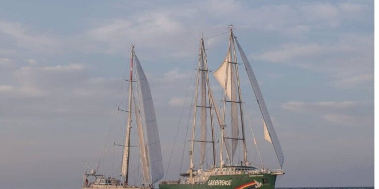 El astillero vigués Freire construirá el nuevo velero ecológico de Greenpeace