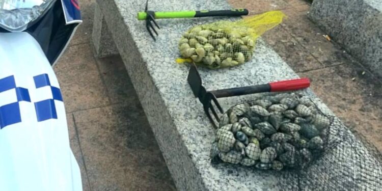 Sorprendidos dos furtivos con cinco kilos de almejas extraídas en una playa de Vigo