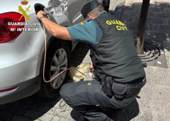 El juzgado homologa dos planes de reestructuración del grupo Fandicosta