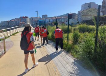 Los vigueses plantan cara a la basuraleza