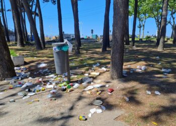 Comité y UTE de Parques y Jardines acuerdan ir a una mediación para desbloquear la huelga