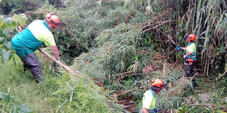 Limpian dos cauces fluviales para evitar inundaciones en la parroquia de Coiro