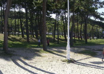 Una empresa del área de Vigo recuperará las dunas de Samil