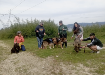 La Protectora de Animales de Vigo no se moverá de A Madroa