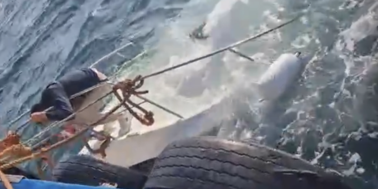 Otro susto en la Ría de Vigo: Una lancha se hunde en plena procesión del Carmen