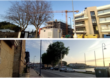 Indignación en Canido por la «repentina» enfermedad de los árboles que tapan las Cíes a los apartamentos