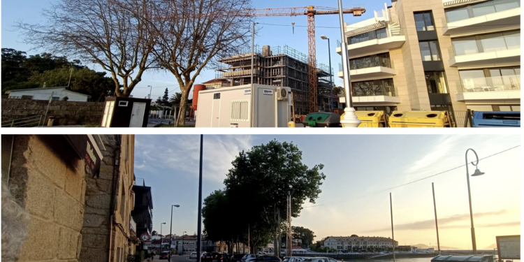 Indignación en Canido por la «repentina» enfermedad de los árboles que tapan las Cíes a los apartamentos