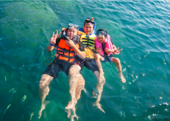 Dolphin Discovery Cozumel: vive una aventura acuática inolvidable en Cozumel